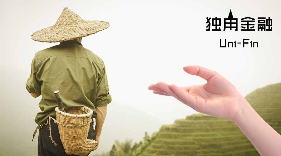 互金平台为何喜欢去农村发展？中央一号文给出了答案1