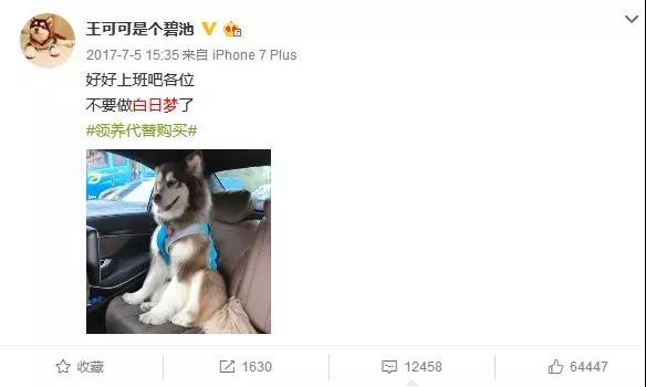 新财富首席被恶搞悬赏50万找狗，不加班了组团去找狗吧！5