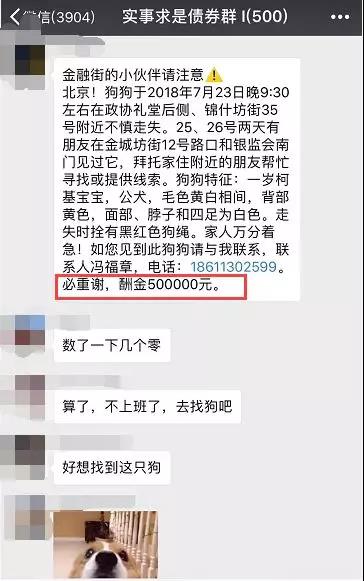 新财富首席被恶搞悬赏50万找狗，不加班了组团去找狗吧！1