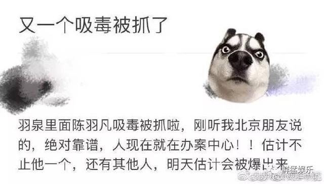 陈羽凡吸毒被抓，胡海泉、小米有品、巨匠文化哭晕在寒风中7