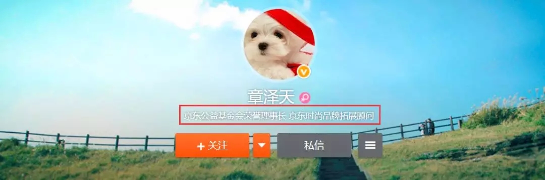 ǿִź⼯ʲôͷ2